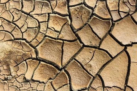 Drought earth with cracks. Stock Photos