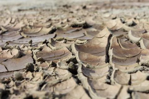 Drought earth with cracks. Stock Photos