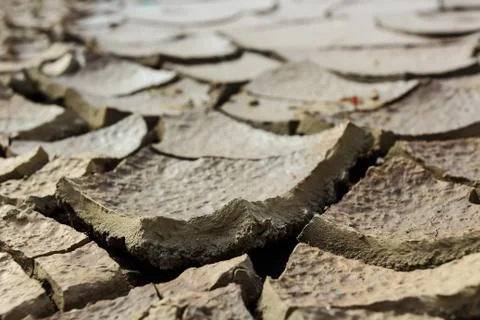 Drought earth with cracks. Stock Photos