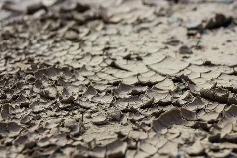 Drought earth with cracks. Stock Photos