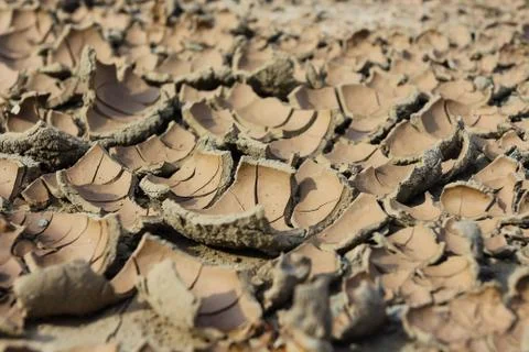 Drought earth with cracks. Stock Photos