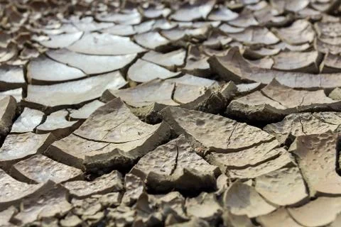 Drought earth with cracks. Stock Photos