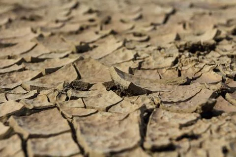 Drought earth with cracks. Stock Photos