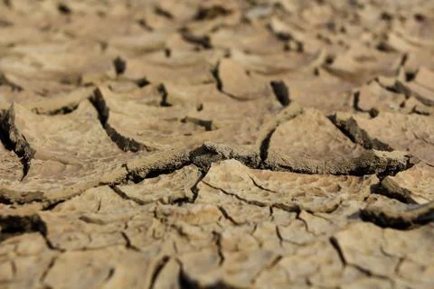 Drought earth with cracks. Stock Photos