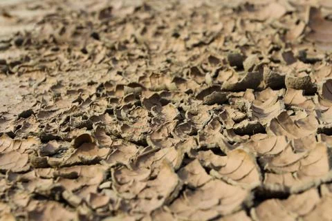 Drought earth with cracks. Stock Photos