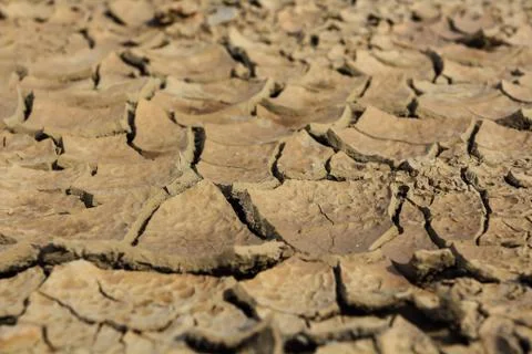 Drought earth with cracks. Stock Photos