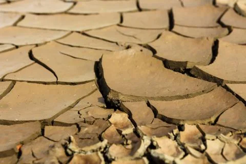 Drought earth with cracks. Stock Photos
