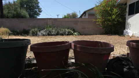 Drought empty pots slide left pt2 Stock-Footage 49276410