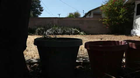 Drought empty pots slide pan right Stock-Footage 49274542