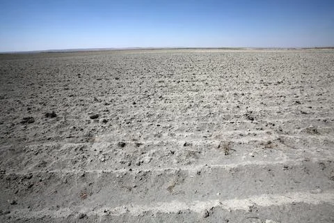 Drought field Stock Photos