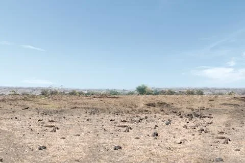 Drought field Stock Photos