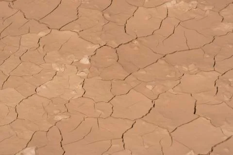 Drought on field in summer Stock Photos