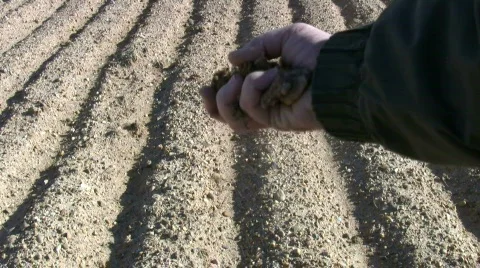 Drought Vidéo 561161