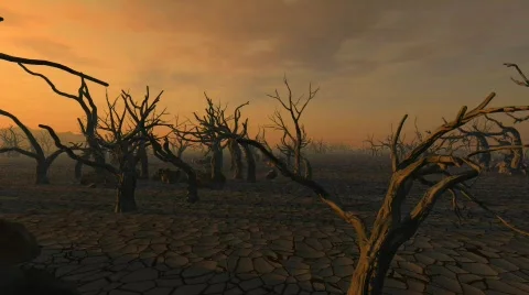 Drought Stock Footage 671481