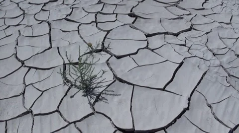 Drought Stock Footage 5186859