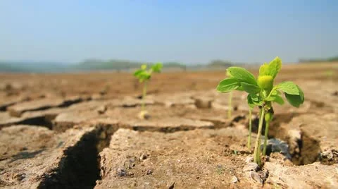 Drought Vidéo gratuite 22417171