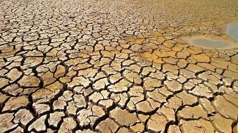 Drought Stock Footage 22419468
