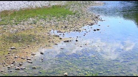 Drought. Stock Footage 93610216