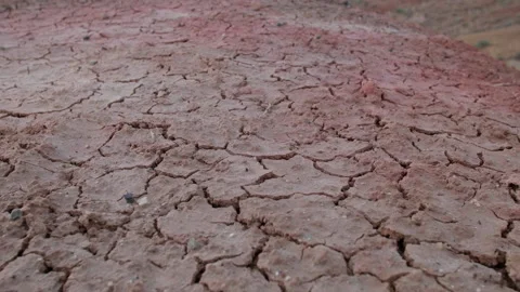 Drought Stock Footage 196812549