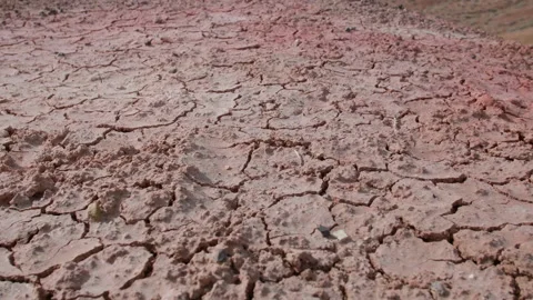 Drought Stock Footage 197509157