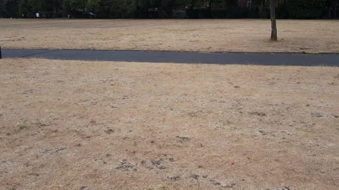 Drought. Stock Footage 207543221