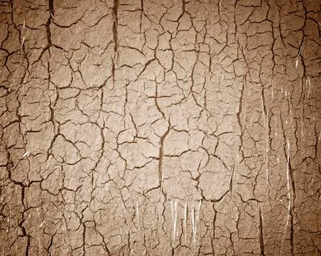 Drought the ground cracks. Stock Photos