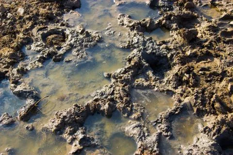Drought, High resolution of dried cracked mud under the blazing sun Foto stock