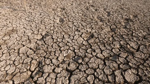 Drought hit land Stock Footage 124001111