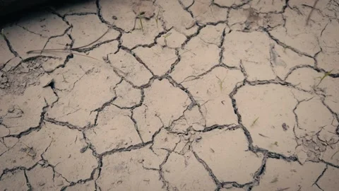 Drought Impact on Arid Soil Texture Stock Footage 337878305