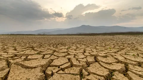 Drought impact Video stock 210506529