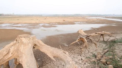 Drought impacts Video stock 79669450