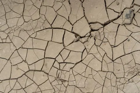 Drought land background  Stock Photos
