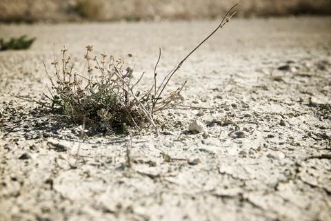 Drought land concept Фото