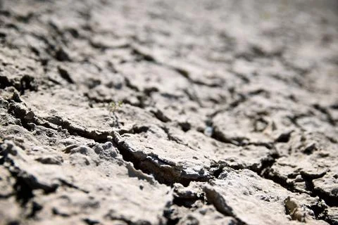 Drought land concept Stock Photos