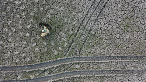 Drought Land Stock Footage 252160717