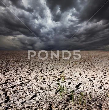 Drought land Stock Photos
