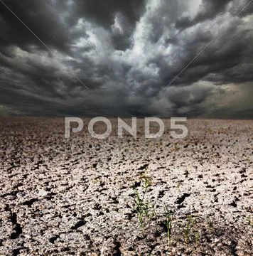 Drought land Stock Photos