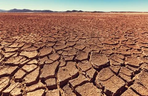 Drought land Stock Photos