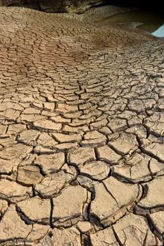 Drought land Stock Photos
