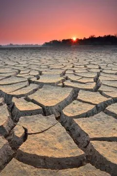 Drought land 写真素材