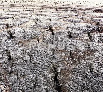 Drought land Stock Photos