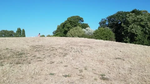 Drought in London, Climate change effect , Battersea Park, 9th Aug 2026 Vídeo Stock 341845952