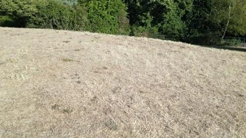 Drought in London, Climate change effect , Battersea Park, 9th Aug 2026 Vídeo Stock 341846063
