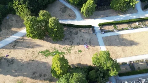 Drought in London, Climate change effect , Battersea Park, 9th Aug 2026 Vídeo Stock 341846244