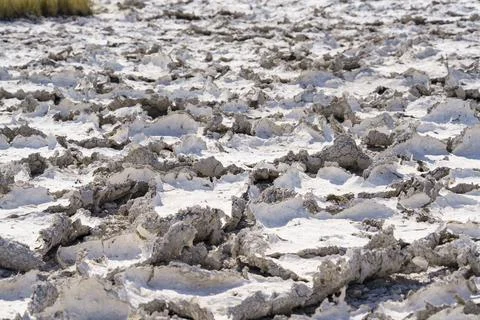 Drought Mud Cracks In A Lake- Climate Change Stock-Fotos