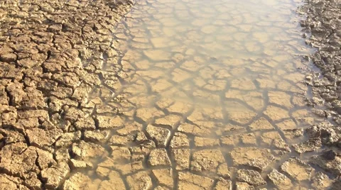 Drought Mudcracks or desiccation cracks Stock Footage 43713664