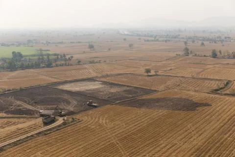 Drought paddy Stock Photos