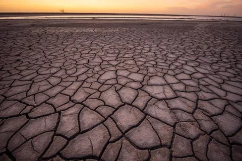 Drought on the pampas Fotos Stock