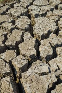 Drought parched soil Fotos de archivo