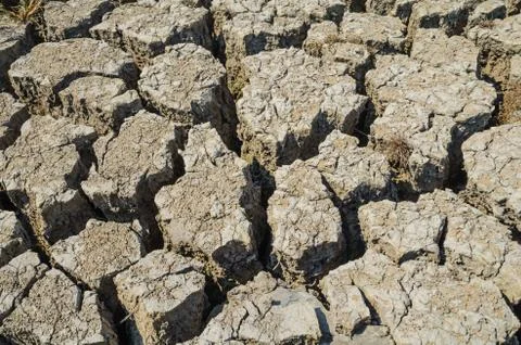 Drought parched soil Fotos de archivo